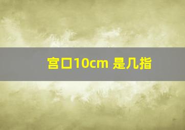 宫口10cm 是几指